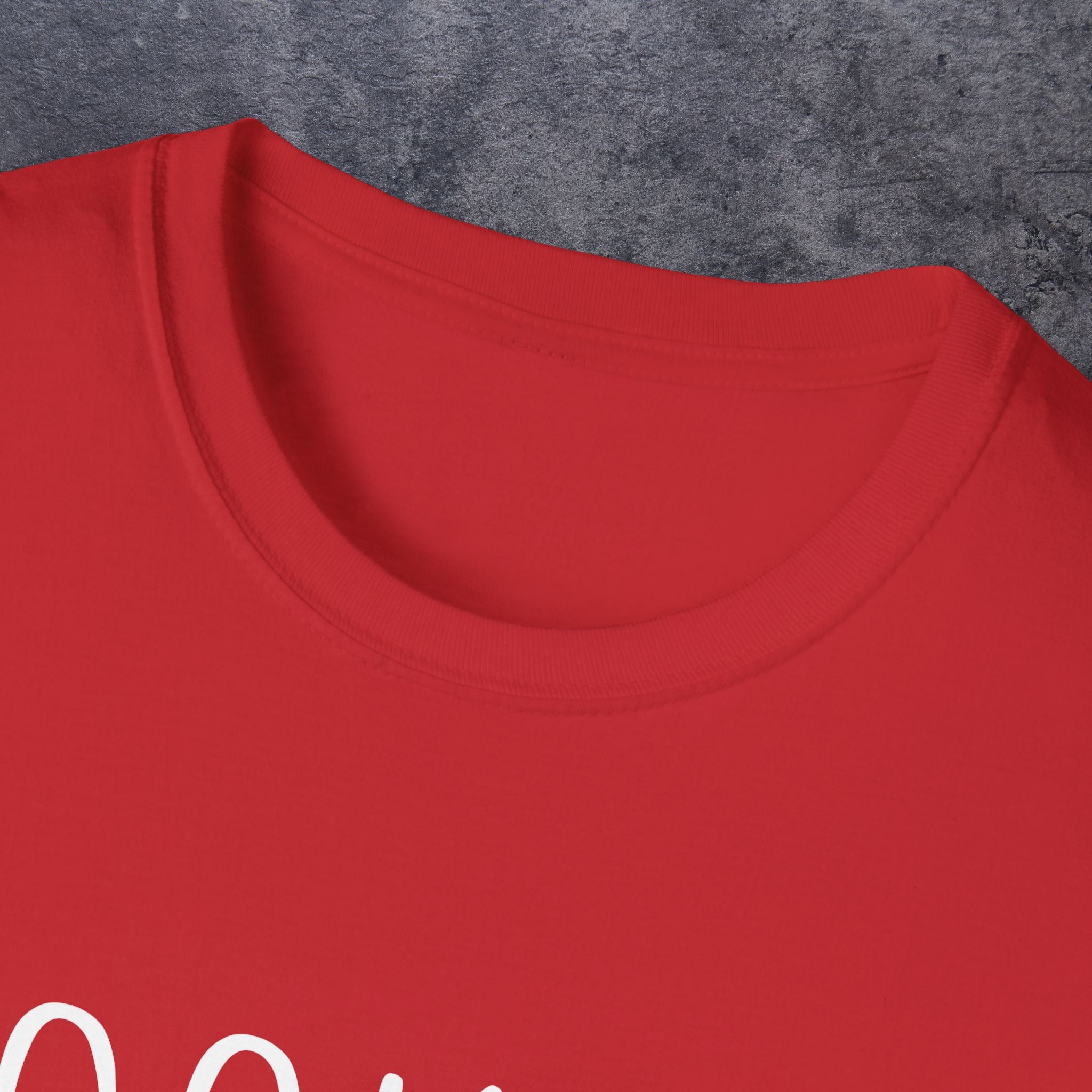 Bookish Unisex Softstyle T-Shirt